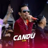 About Candu Song