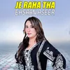 About Je Raha Tha Song