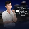 About Liên Khúc Đêm Cô Đơn - Nếu Phôi Phai Ngày Mai Song