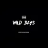 About WILD DAYS Song