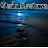 Oasis Nocturn