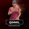 About Qimmil Song