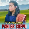 About Tetap Kusayang Song
