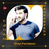 About Ürəyi Partdasın Song