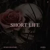 About Short Life Song