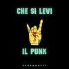 About Che si levi il punk Song