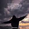 About Wanna To Sky Song