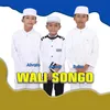 About Wali Songo Song