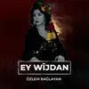 About Ey Wîjdan Song