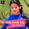 About Gully Danda Gay Song