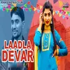 About Laadla Devar Song