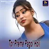 About Tor Preme Pagol Holi Song