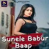 About Sunele Babur Baap Song