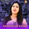 About RADHE JAY JAY RADHE Song