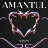 About Amantul Song