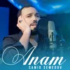 About Anam Song