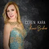 About Kesik Çayır Song