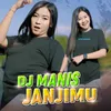 About DJ Manis Janjimu Song