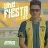 About Una Fiesta LTFC Song