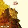 About Prison Song