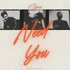 About Need You Song