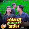 About Dhodhiya Tajmahal Bhail Song