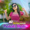 DJ Terima Kasih Patah Hati