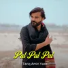 About Pal Pal Pal Song