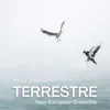 About Terrestre Song