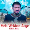 About Mela Wekhen Aaye Song
