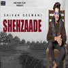 About Shehzaade Song