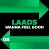 About Wanna Feel Good Song