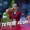 About Tetese Eluh Song