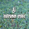 About Dj Instrumen Erobic Song