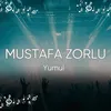 About Yumul Song