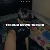About TEKOMU GOWO TRESNO MENGKANE Song