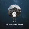 About Ne manjka sanj Song