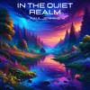 About In the Quiet Realm Song