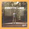 About Pretty Lies Song