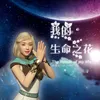 About 我的生命之花 Song