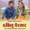 About Chhabilu Pairwar Song