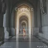 About Cryptic Song