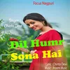 About Dil Humr Sona Hai Song