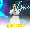 About Sempurno Song