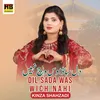 About Dil Sada Was Wich Nahi Song