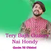 About Tery Bajh Guzary Nai Hondy Song