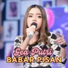 Babar Pisan