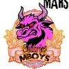 About Mars Satrio Mboys Song
