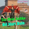 About Tor Mein Achke Dil Hari Delo Song