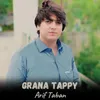 About Grana Tappy Song